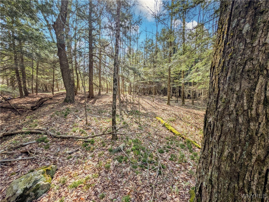 2788 Williamson Road, Greenwood, New York image 16