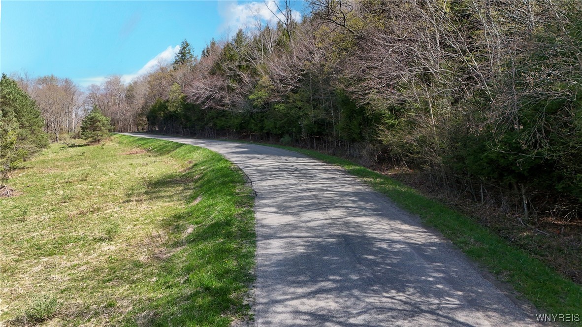 2788 Williamson Road, Greenwood, New York image 18