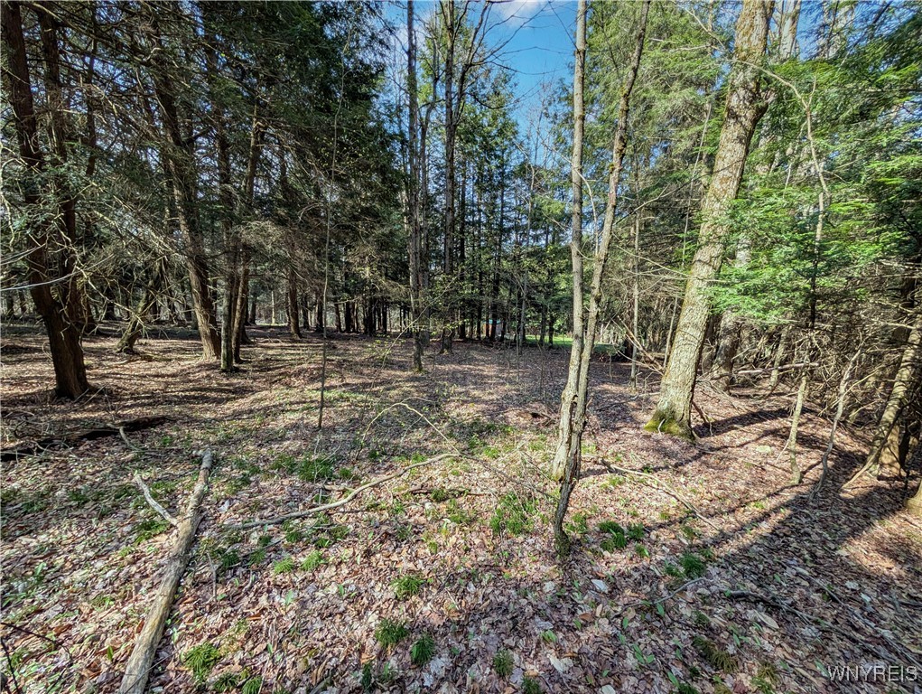 2788 Williamson Road, Greenwood, New York image 15