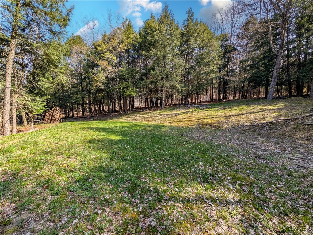 2788 Williamson Road, Greenwood, New York image 11