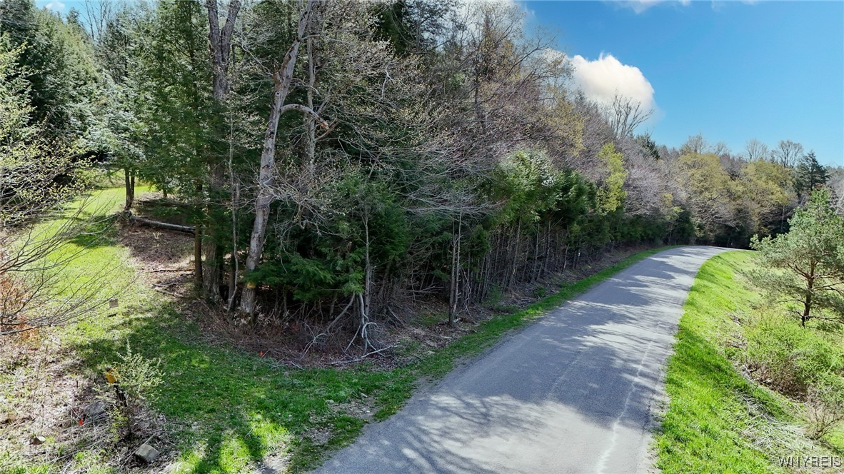 2788 Williamson Road, Greenwood, New York image 19