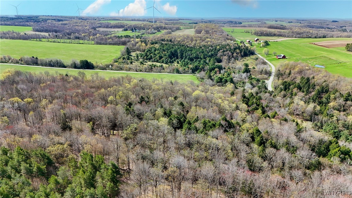 2788 Williamson Road, Greenwood, New York image 4