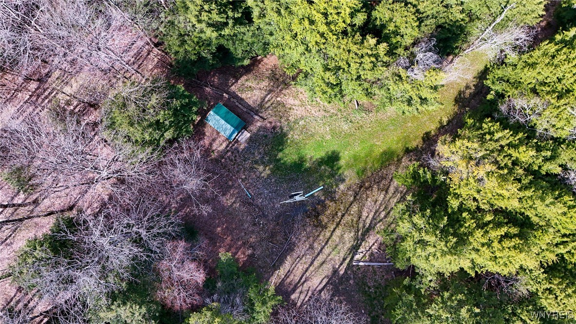 2788 Williamson Road, Greenwood, New York image 8