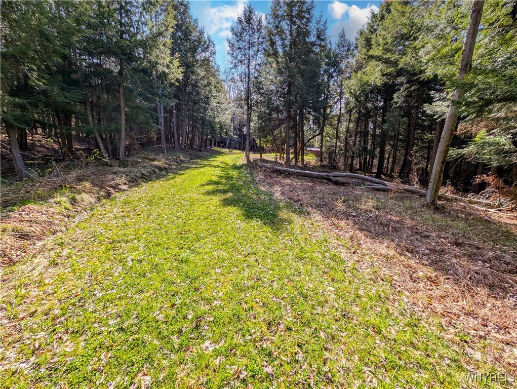 2788 Williamson Road, Greenwood, New York image 17