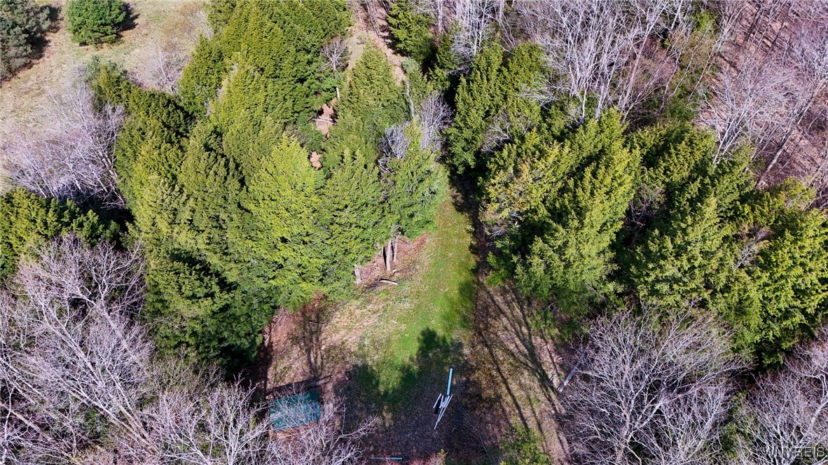 2788 Williamson Road, Greenwood, New York image 9