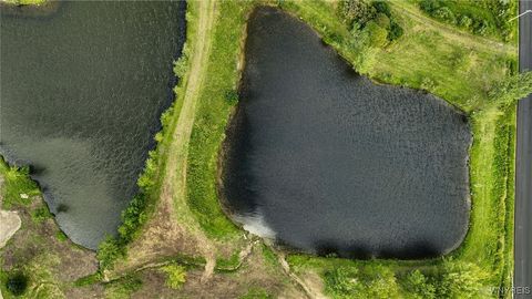 Vacant Land For Sale - LOT #1 Phillips Road Pl<br/> Colden, NY 14080