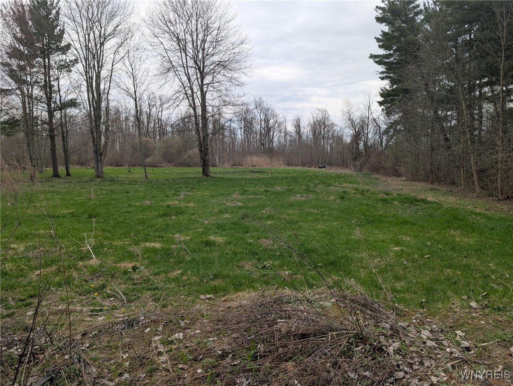 809 Erie Street, Lancaster, New York image 11