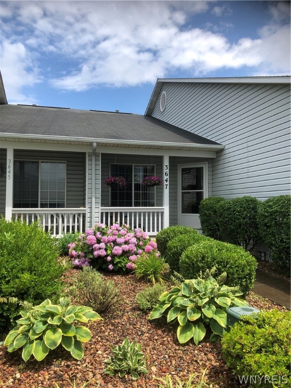 3647 Black Brant Drive, Clay, New York image 1
