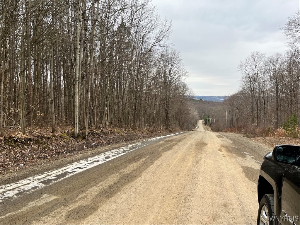 Cemetery Hill Road, Franklinville, New York image 1