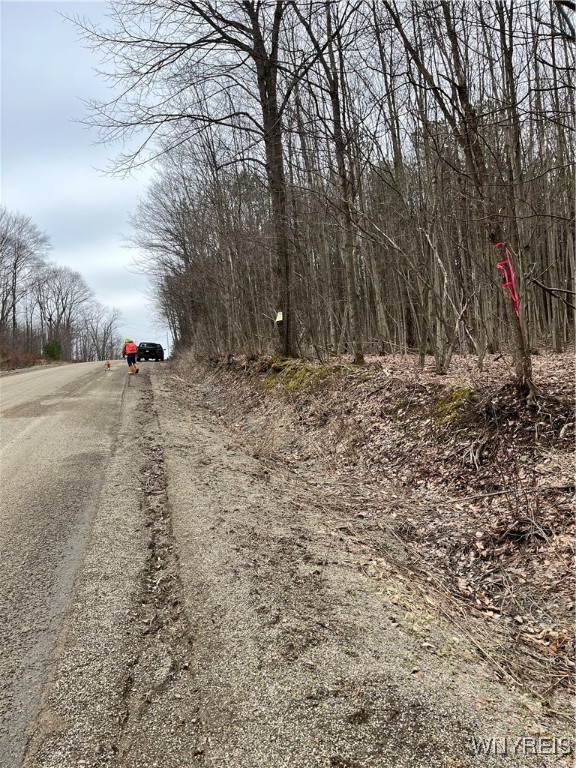 Cemetery Hill Road, Franklinville, New York image 3