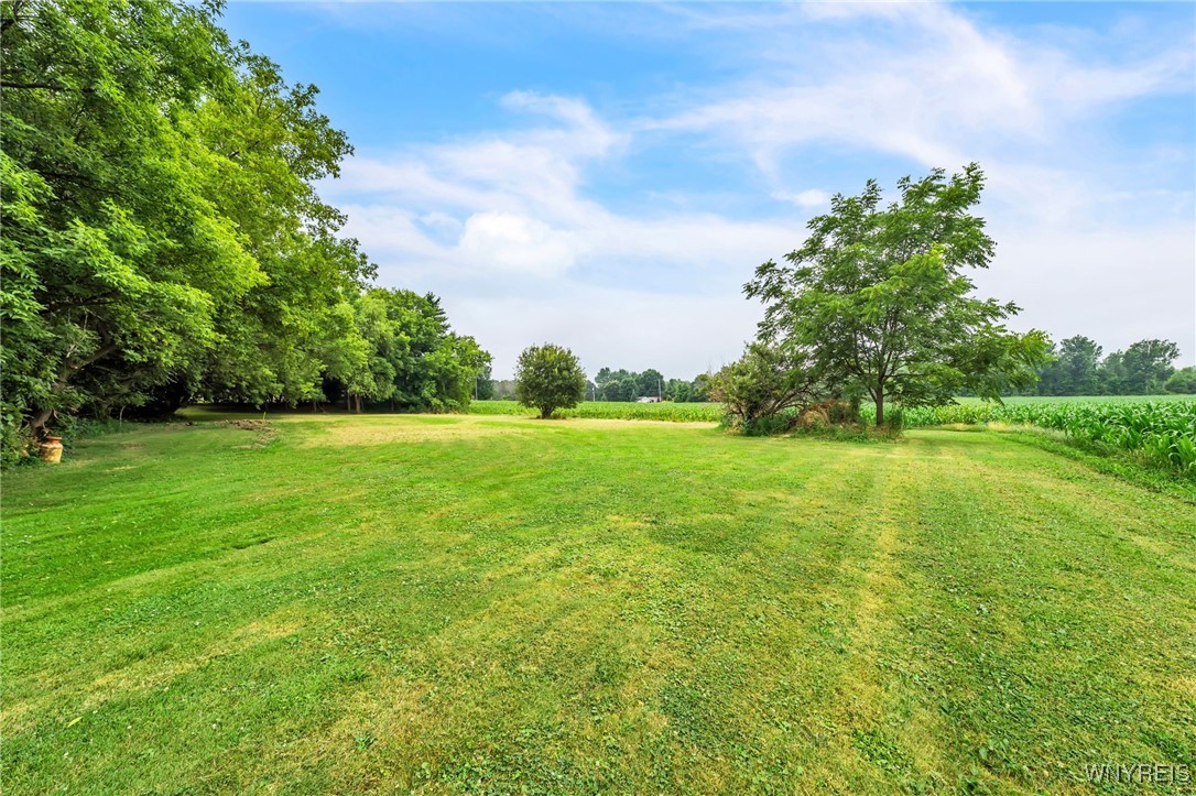 Albion, New York 14411, United States, 3 Bedrooms Bedrooms, ,1 BathroomBathrooms,Residential,Active,171668