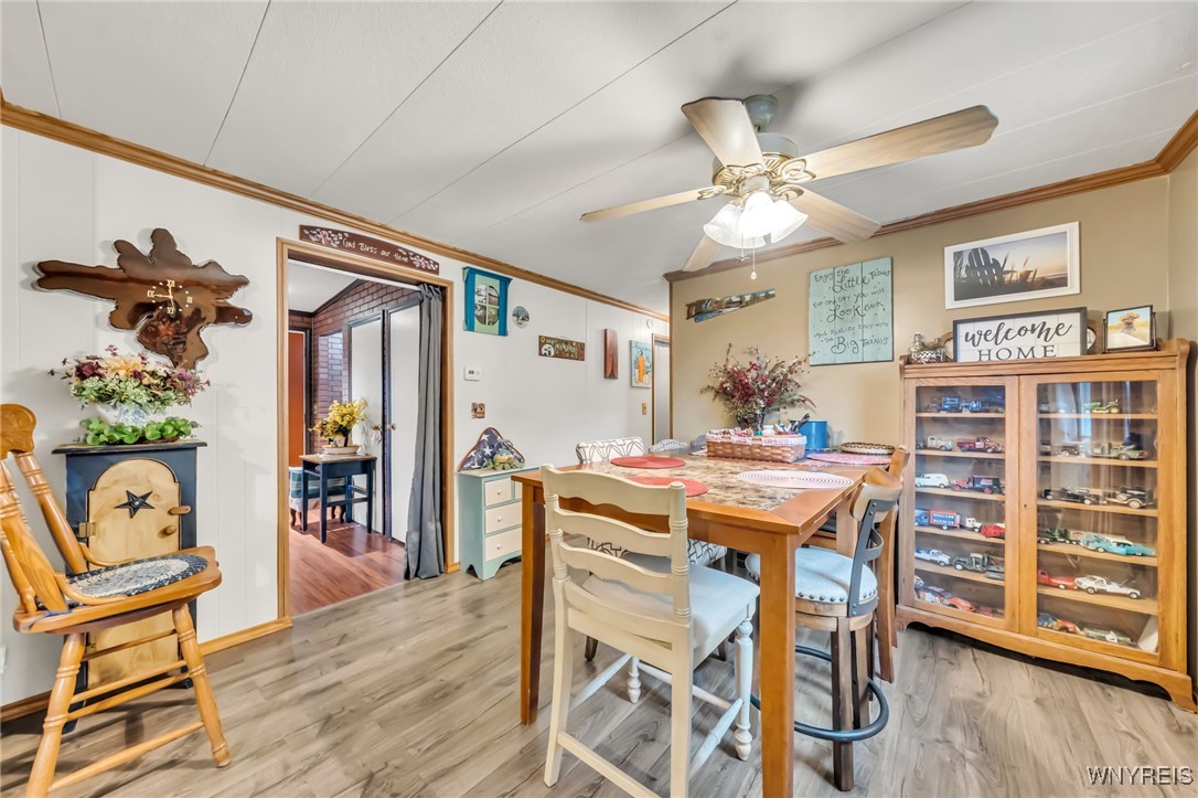 Albion, New York 14411, United States, 3 Bedrooms Bedrooms, ,1 BathroomBathrooms,Residential,Active,171668