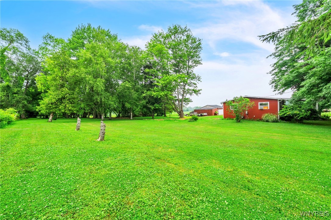 Albion, New York 14411, United States, 3 Bedrooms Bedrooms, ,1 BathroomBathrooms,Residential,Active,171668