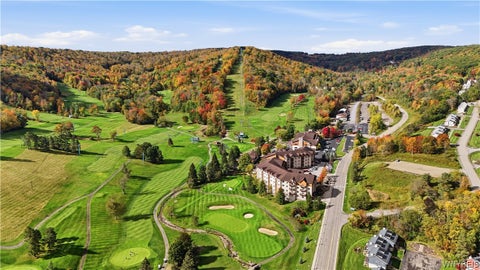 Tiny photo for 81 Wildflower, Ellicottville, NY 14731 (MLS # B1721235)