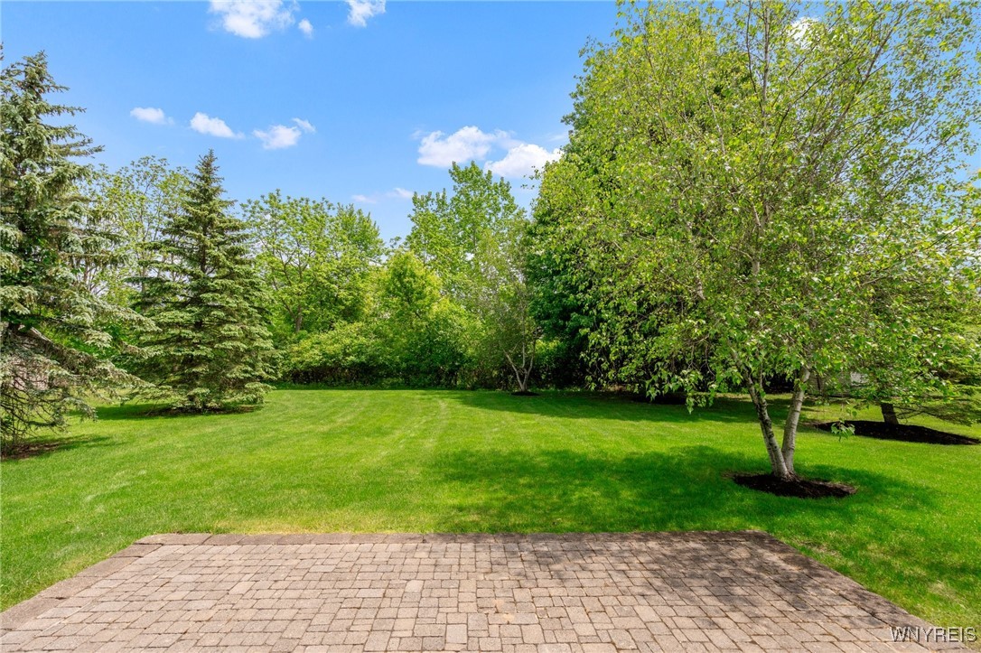 85 Alexander Way, Orchard Park, New York image 36