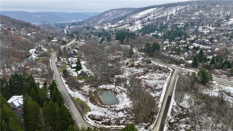 Hencoop Hollow Road Ellicottville NY 14731