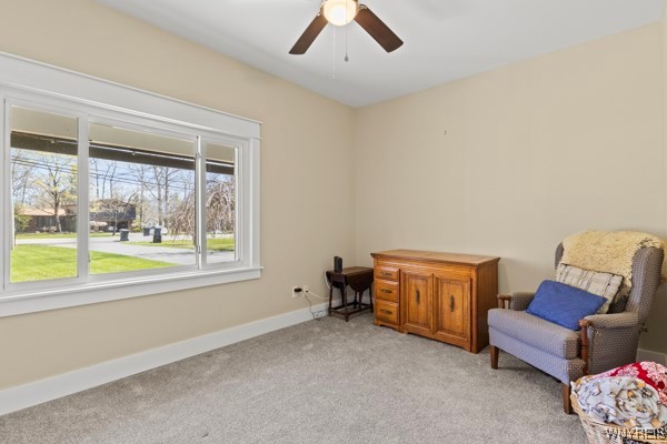 640 Baseline Road, Grand Island, New York image 18