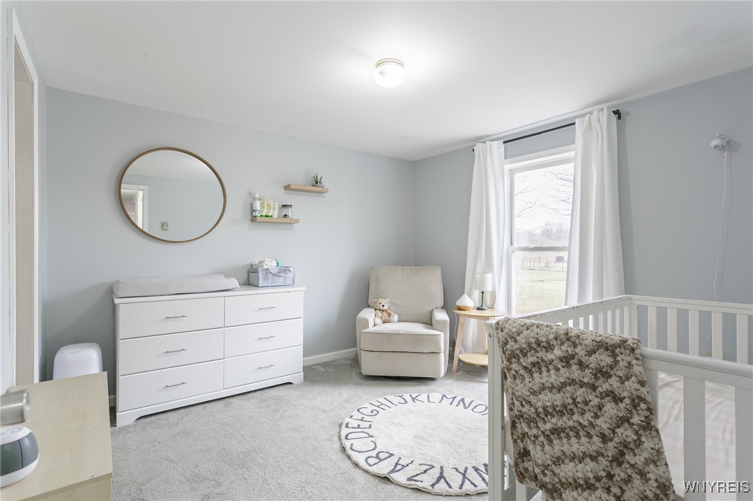 2177 Trimble Road, Phelps, New York image 18