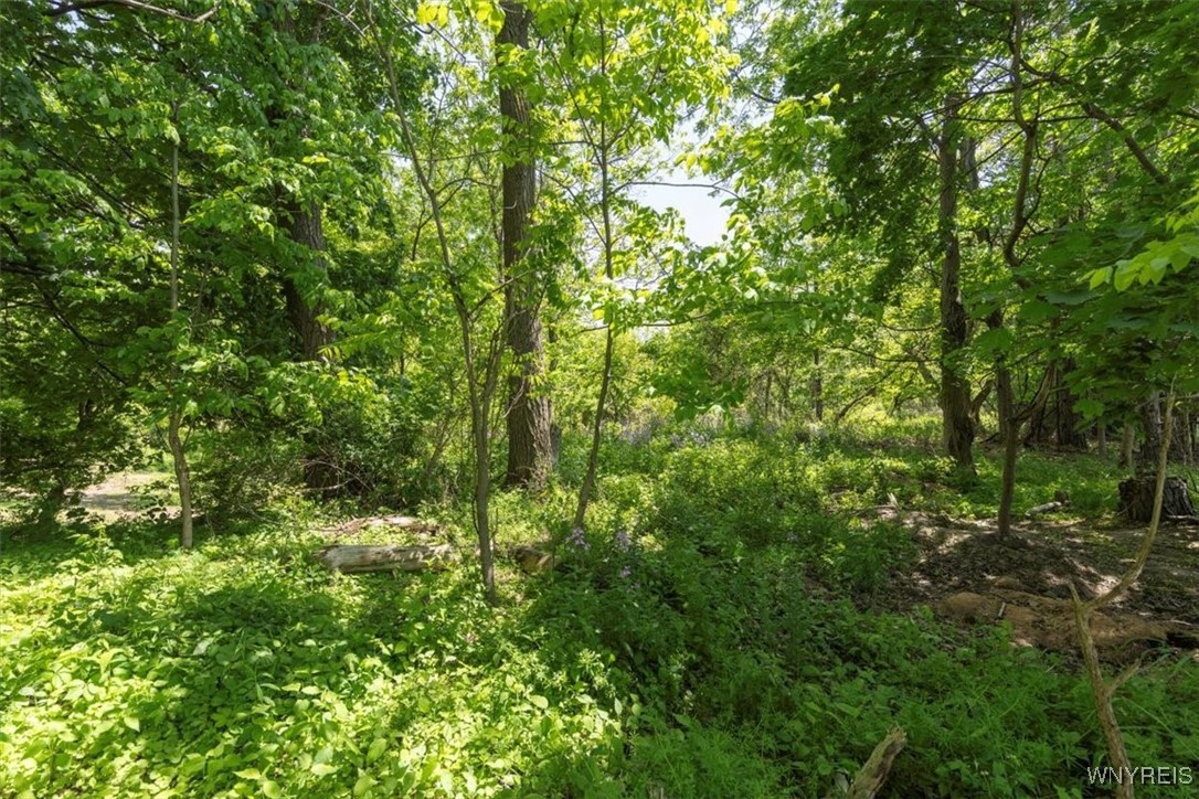 4575 Ransom Road, Clarence, New York image 46