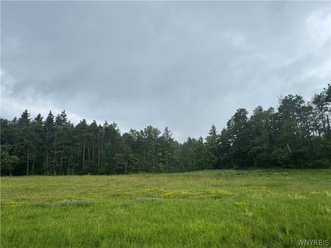 Vacant Land For Sale - 2630 Attica Road<br/> Genesee County, Alexander, NY 14005