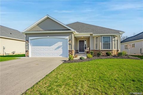 7003 James Francis Lockport NY 14094