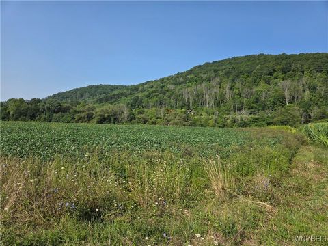 Vacant Land For Sale - Martin Road<br/> Great Valley, NY 14741