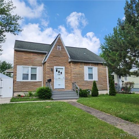 Photo of 526 Capen Boulevard, Amherst, NY 14226 (MLS # B1616897)