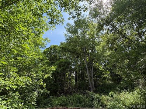Vacant Land For Sale - 11557 Mill Street<br/> Allegany County, Hume, NY 14536
