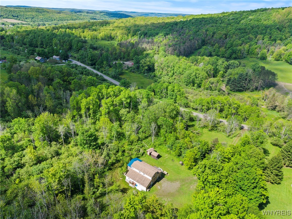 9268 Bowen Road, East Otto, New York image 28