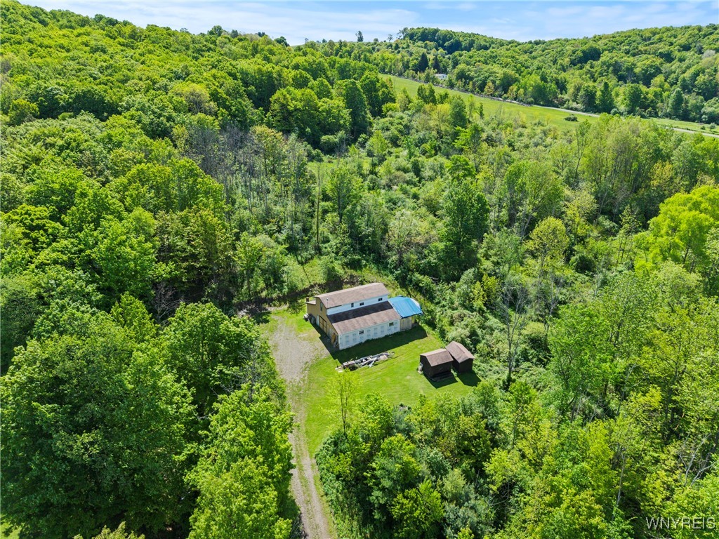 9268 Bowen Road, East Otto, New York image 21