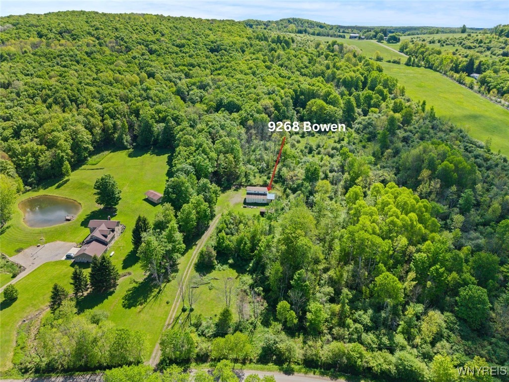 9268 Bowen Road, East Otto, New York image 18