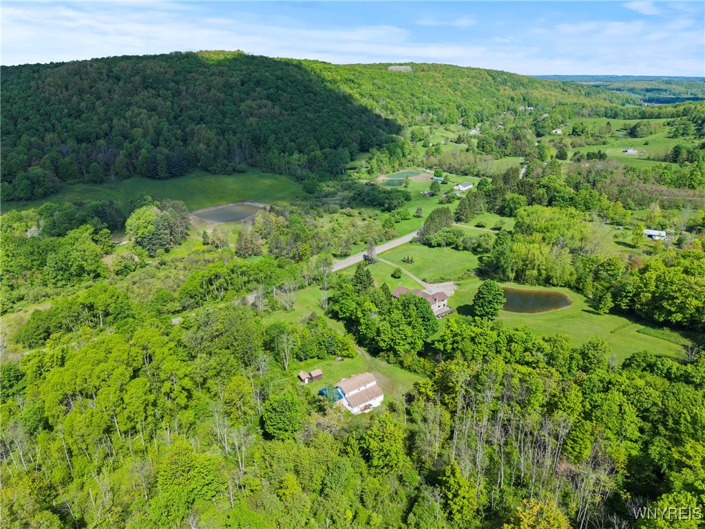 9268 Bowen Road, East Otto, New York image 25