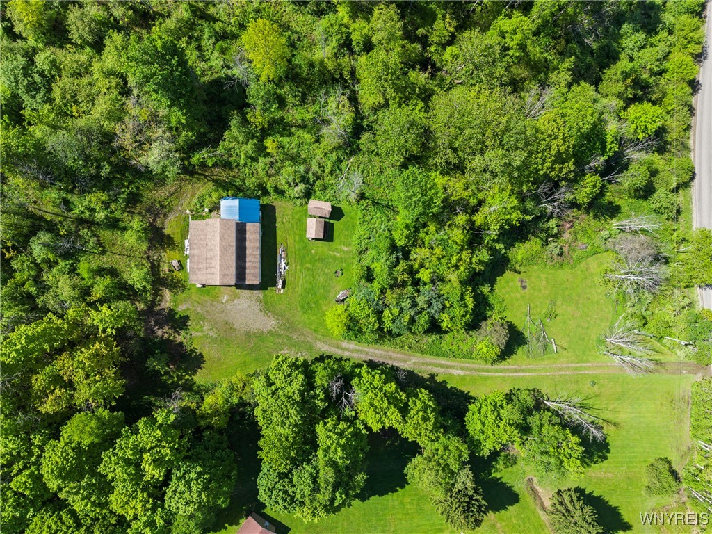 9268 Bowen Road, East Otto, New York image 22