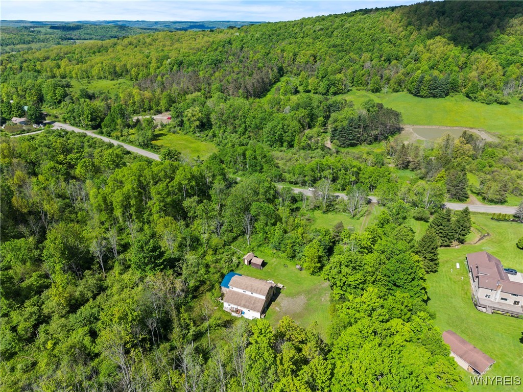 9268 Bowen Road, East Otto, New York image 24