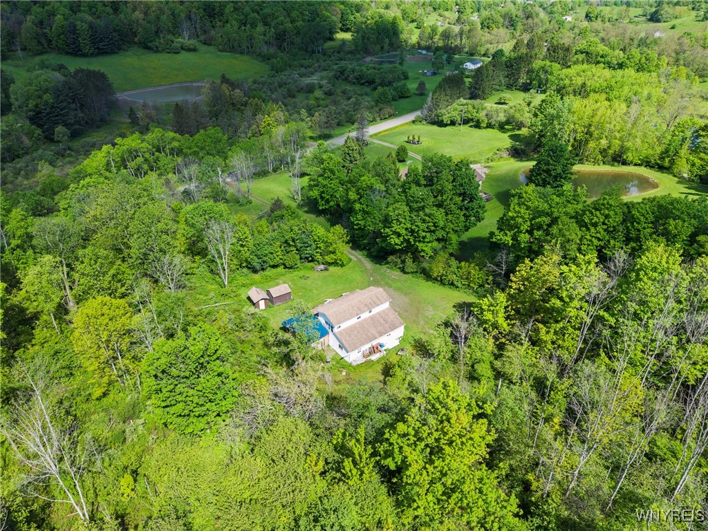 9268 Bowen Road, East Otto, New York image 26