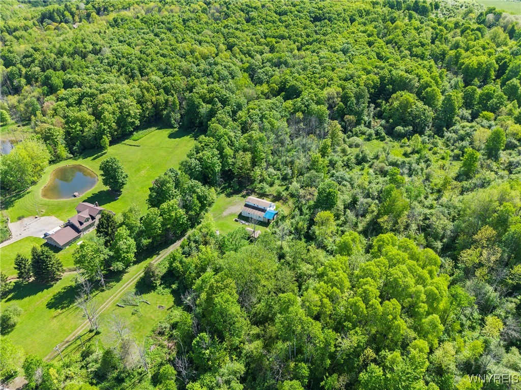 9268 Bowen Road, East Otto, New York image 19