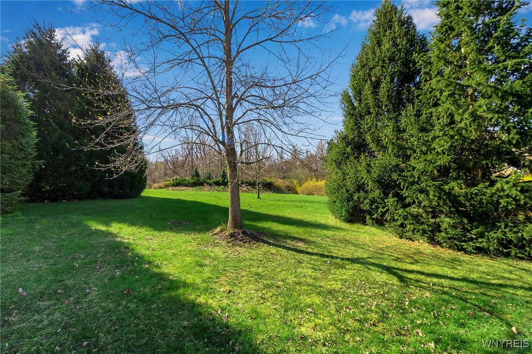 9545 Turnstone Drive, Clarence, New York image 4