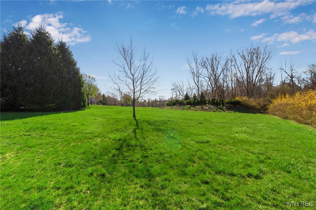 9545 Turnstone Drive, Clarence, New York image 1