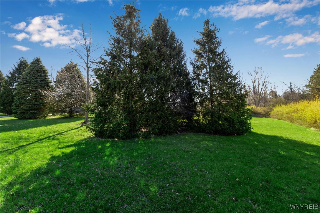 9545 Turnstone Drive, Clarence, New York image 2