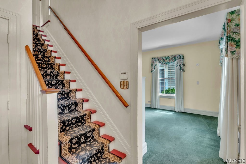 17 Colvin Avenue