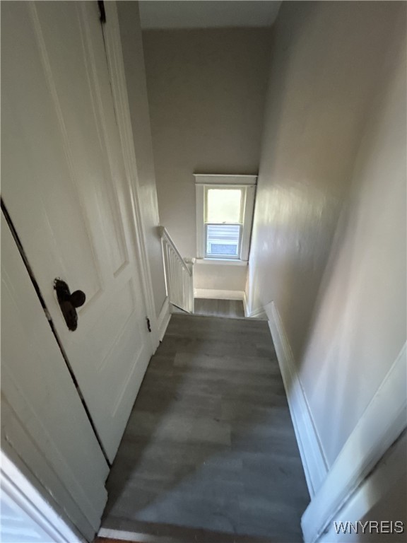 115-117 Thorndale Terrace