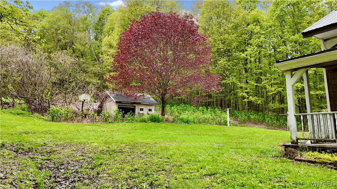 7795 Farrington Hollow Road, Cherry Creek, New York image 5