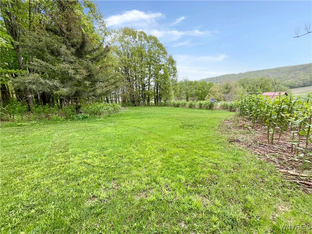 7795 Farrington Hollow Road, Cherry Creek, New York image 7