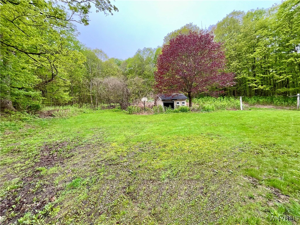 7795 Farrington Hollow Road, Cherry Creek, New York image 6