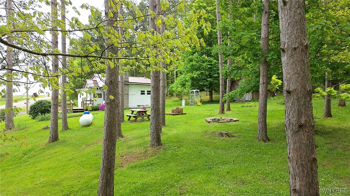 7727 Tibbetts Hill Road, Belfast, New York image 23