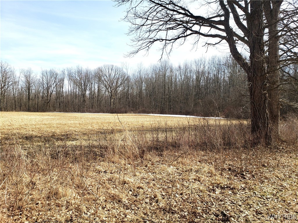Royalton, New York 14067, United States, ,Residential,Pending,89390