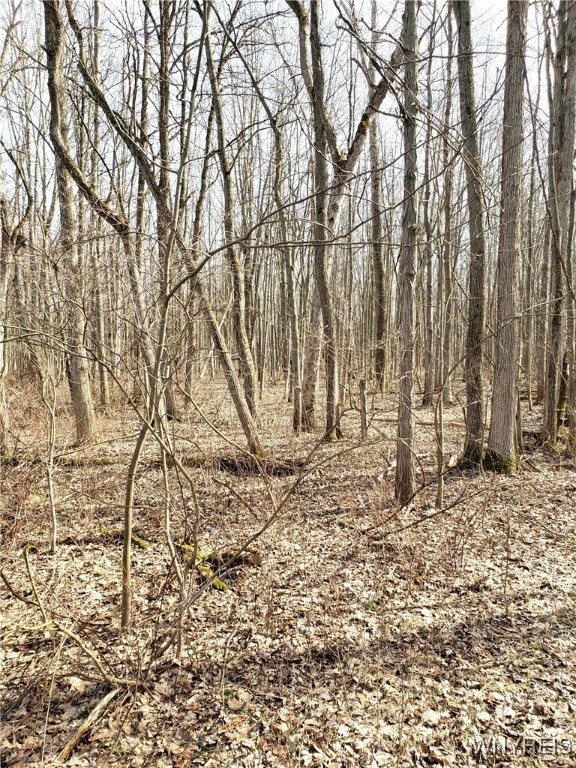 Royalton, New York 14067, United States, ,Residential,Pending,89390