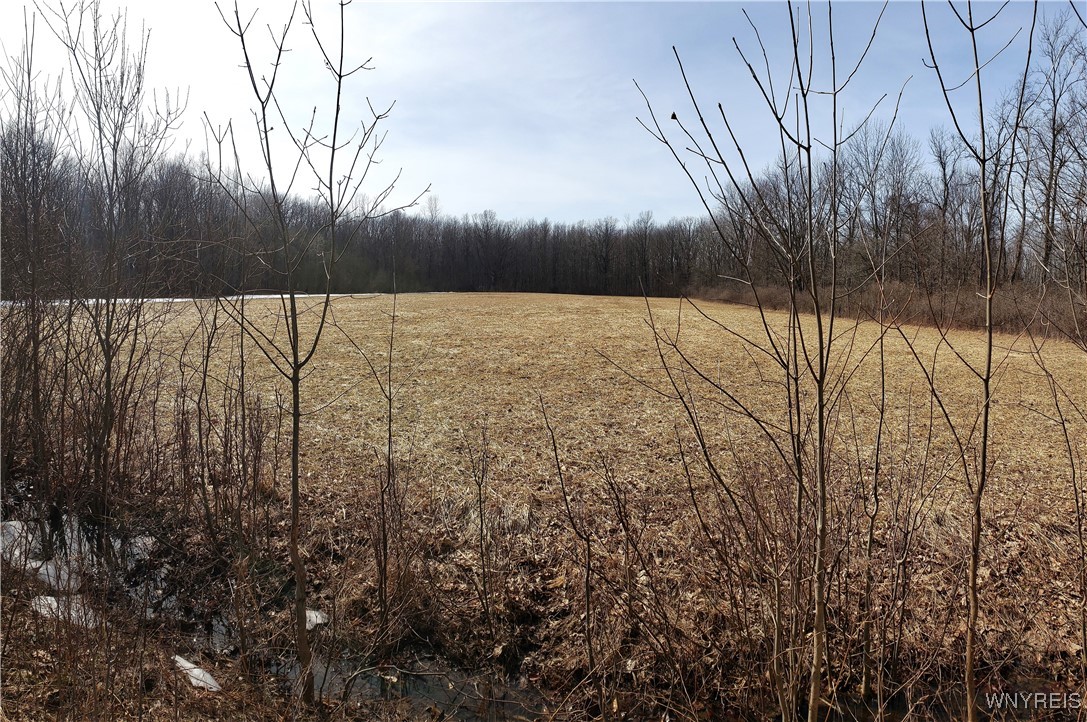 Royalton, New York 14067, United States, ,Residential,Pending,89390