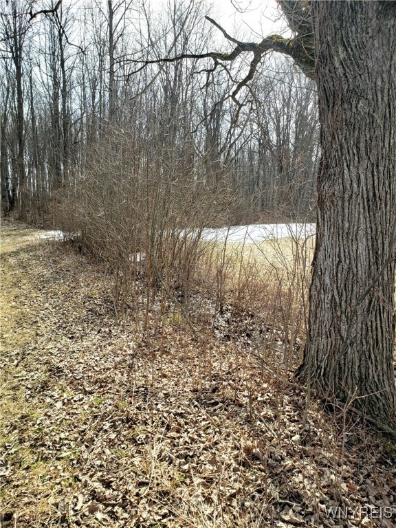 Royalton, New York 14067, United States, ,Residential,Pending,89390