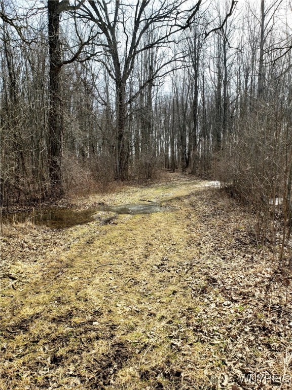 Royalton, New York 14067, United States, ,Residential,Pending,89390